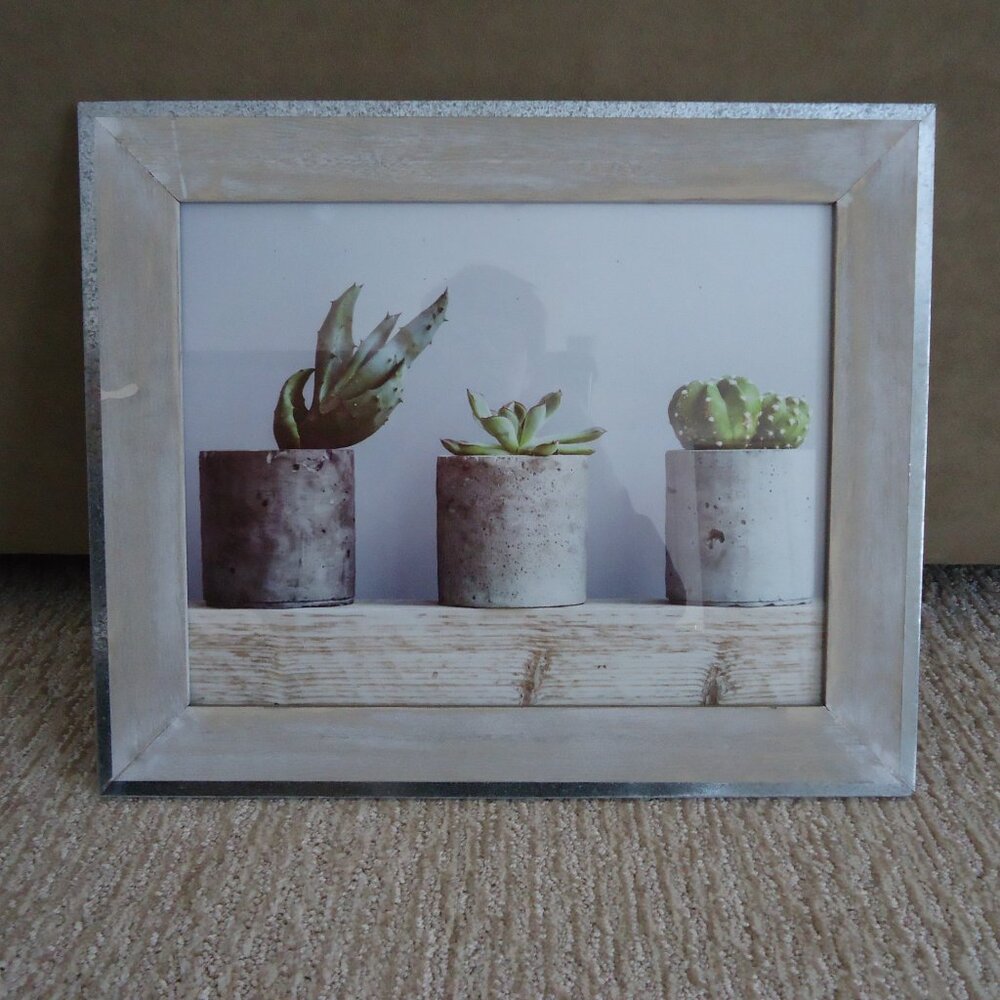 Succulent Framed Print Picture 17.5" x 14.5"